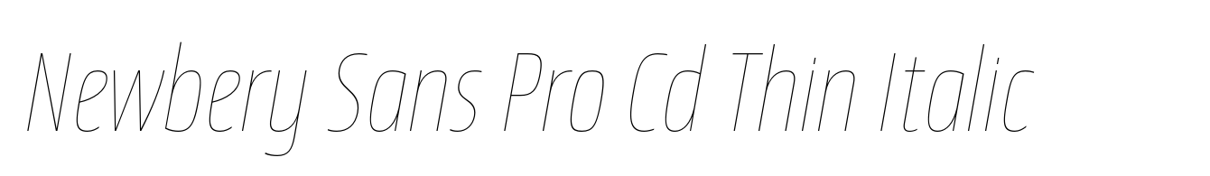 Newbery Sans Pro Cd Thin Italic